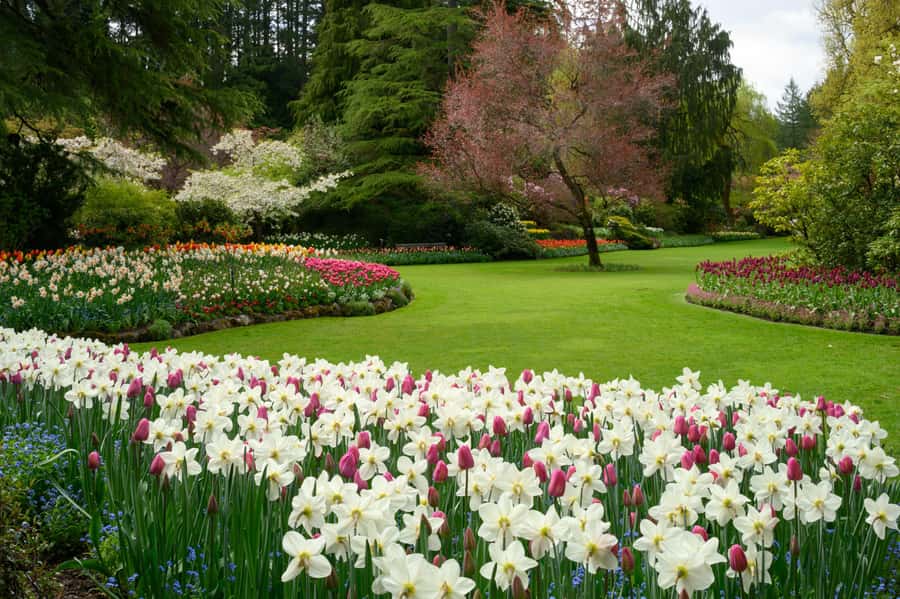 Vancouver: Islands Cruise, Butchart Gardens, & Victoria Tour - Butchart Gardens: 90 minutes to hit the big themed areas