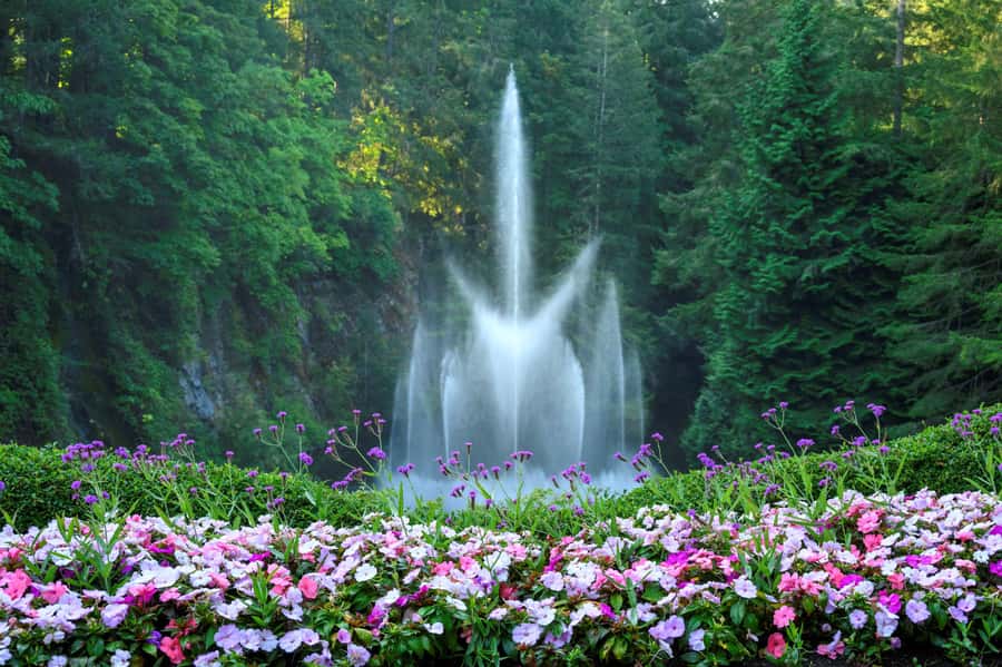 Vancouver: Islands Cruise, Butchart Gardens, & Victoria Tour - Timing and logistics: the long day tradeoff