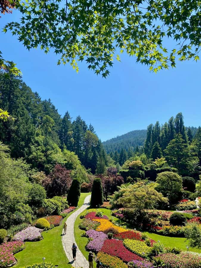 Vancouver: Islands Cruise, Butchart Gardens, & Victoria Tour - Who this tour suits best (and who might feel constrained)