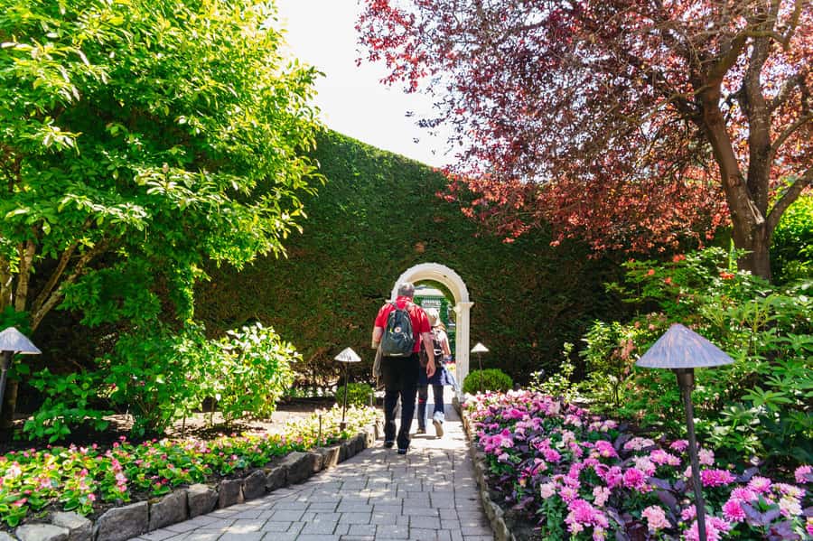 Vancouver: Islands Cruise, Butchart Gardens, & Victoria Tour - Should you book this Vancouver, Butchart Gardens, and Victoria day tour?
