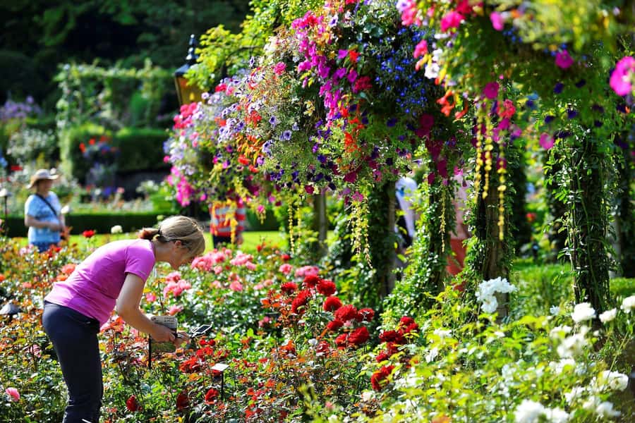 Vancouver: Islands Cruise, Butchart Gardens, & Victoria Tour - The 90-minute ferry cruise through the Gulf Islands