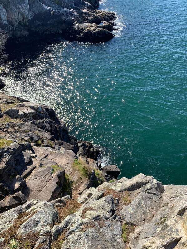 Vancouver: Lighthouse Park Hike - Key things I’d pencil in first