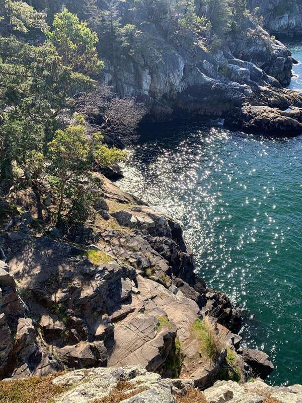 Vancouver: Lighthouse Park Hike - Doorstep Pickup to West Vancouver Scenery: It Starts in the Car