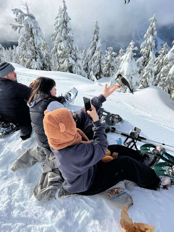 Vancouver: North Shore Mountains Snowshoeing with Transfer - Key things to know before you go
