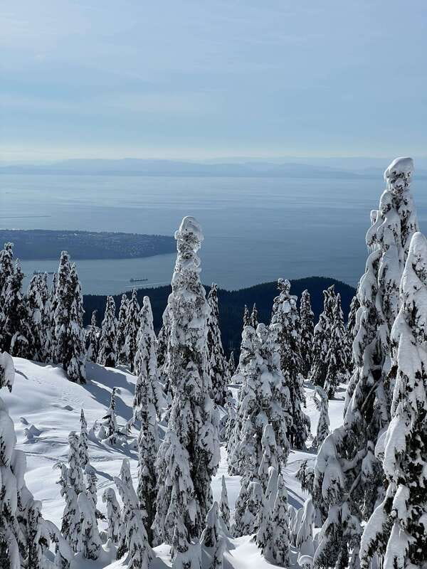 Vancouver: North Shore Mountains Snowshoeing with Transfer - Snowshoeing on the North Shore, Just Outside Vancouver