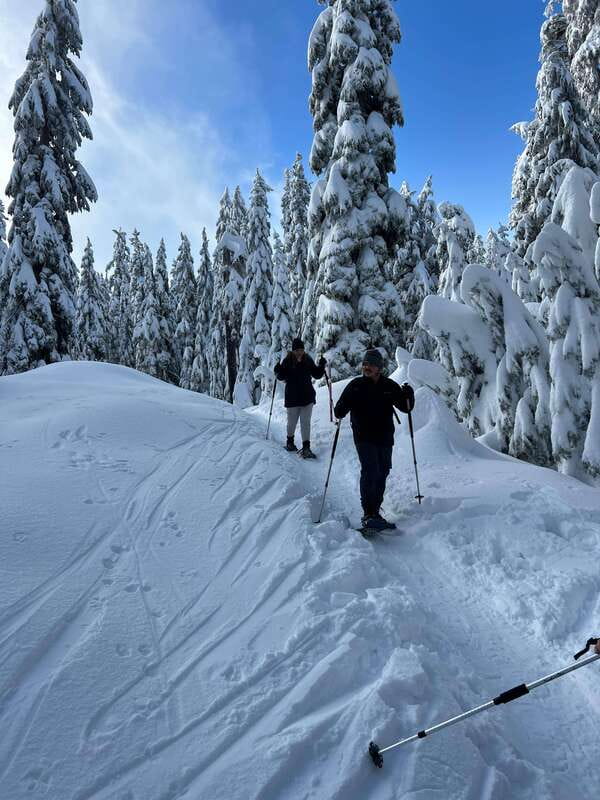 Vancouver: North Shore Mountains Snowshoeing with Transfer - What You Get Included, and What You Must Bring