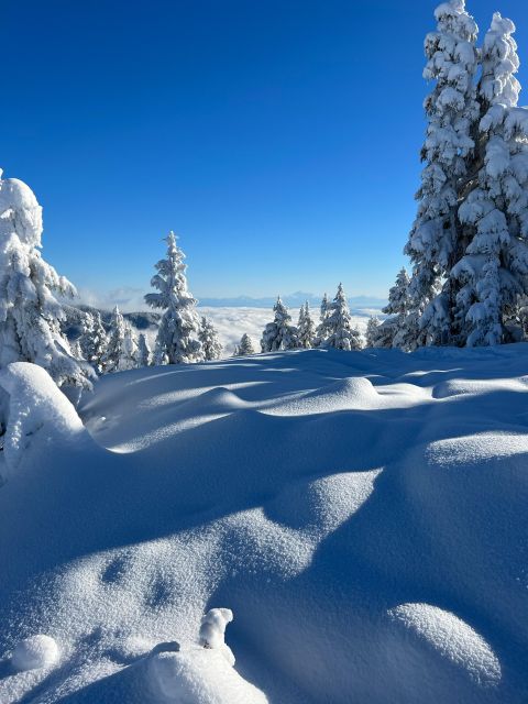 Vancouver: North Shore Mountains Snowshoeing with Transfer - How Challenging Is It? Calorie Burn and Pacing on Snowshoes