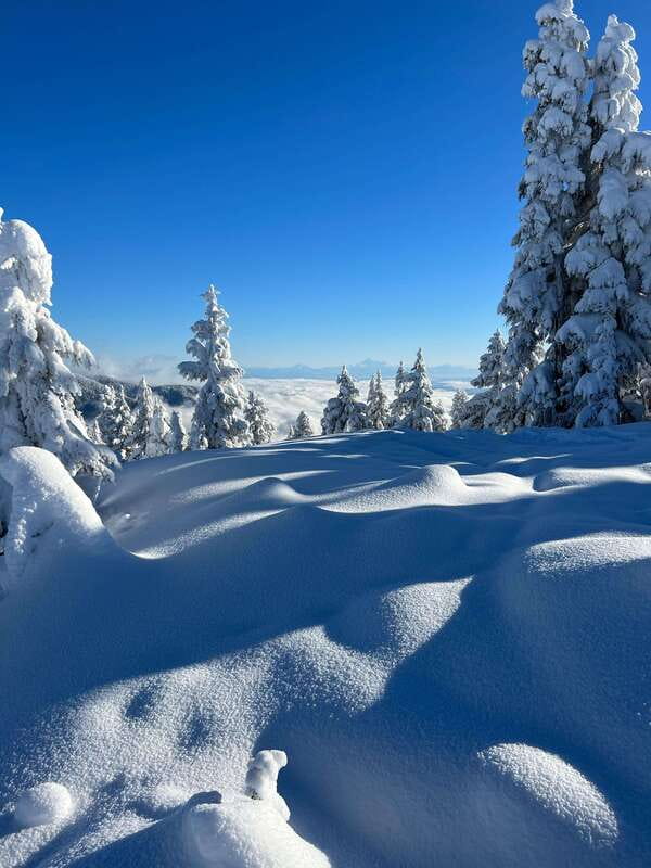 Vancouver: North Shore Mountains Snowshoeing with Transfer - The Guide Factor: History Notes Plus Real Winter Expertise