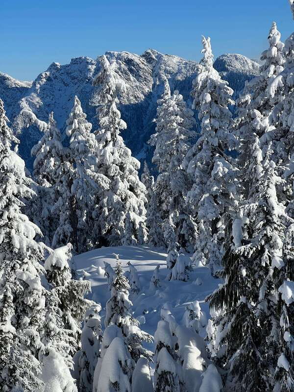 Vancouver: North Shore Mountains Snowshoeing with Transfer - Timing for a 270-Minute Tour in Winter