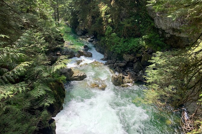 Vancouver Rainforest Hike with Waterfalls, Suspension Bridge, Old Growth Forest - Lynn Canyon Suspension Bridge: Water, Height, and That Photo Angle