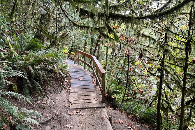 Vancouver Rainforest Hike with Waterfalls, Suspension Bridge, Old Growth Forest - How Hard Is It, Really? Stairs, Elevation, and Pacing