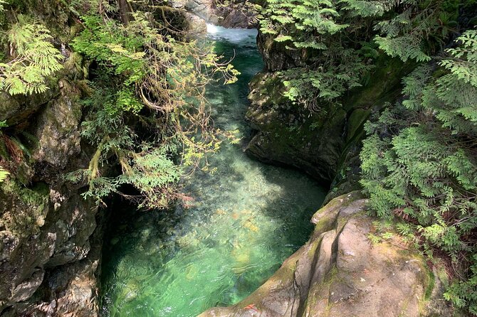 Vancouver Rainforest Hike with Waterfalls, Suspension Bridge, Old Growth Forest - Adrian the Guide and the Small Extras That Make It Feel Worth It
