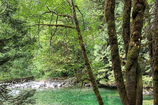 Vancouver Rainforest Hike with Waterfalls, Suspension Bridge, Old Growth Forest - Lions Gate Bridge: A Landmark Sight Without the Detour