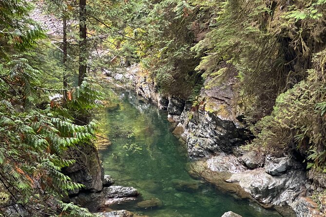 Vancouver Rainforest Hike with Waterfalls, Suspension Bridge, Old Growth Forest - Price and Value: What You Get for $58.56