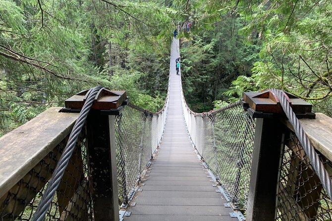 Vancouver Rainforest Hike with Waterfalls, Suspension Bridge, Old Growth Forest - Twin Falls and Old-Growth Forest: Close-Up Water Without the Crowds Energy