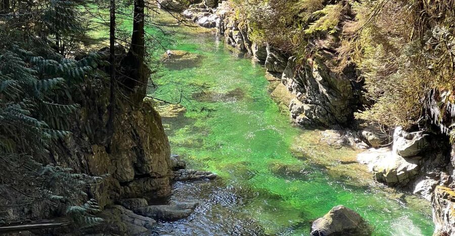 Vancouver: Rainforest Waterfall Hike and Suspension Bridge - Should you book this Vancouver waterfall hike with a suspension bridge?