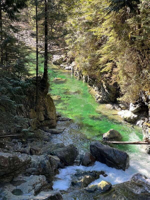 Vancouver: Rainforest Waterfall Hike and Suspension Bridge - The 9 km trail: waterfalls, creek pools, and stair-heavy sections