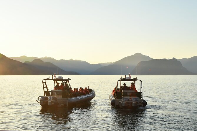 Vancouver's Intimate West Coast Whale Watching Experience - Guide and captain teamwork, and why that extra effort matters