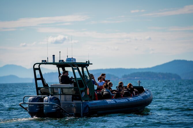 Vancouver's Intimate West Coast Whale Watching Experience - The scenic “search corridor” near Stanley Park, English Bay, and False Creek