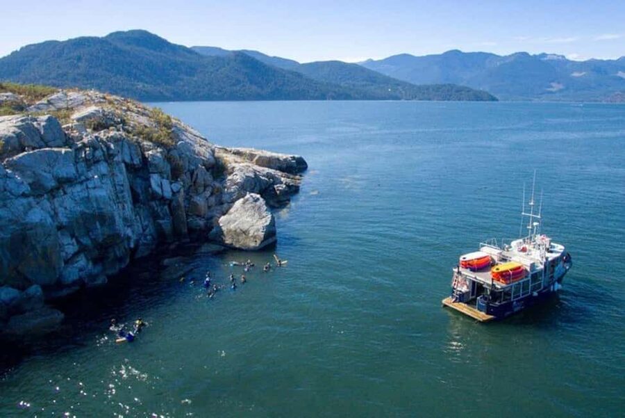 Vancouver: Snorkel, Kayak, and Seal Adventure Boat Tour - The boat ride back: hot soup, snacks, and staying warm on the water