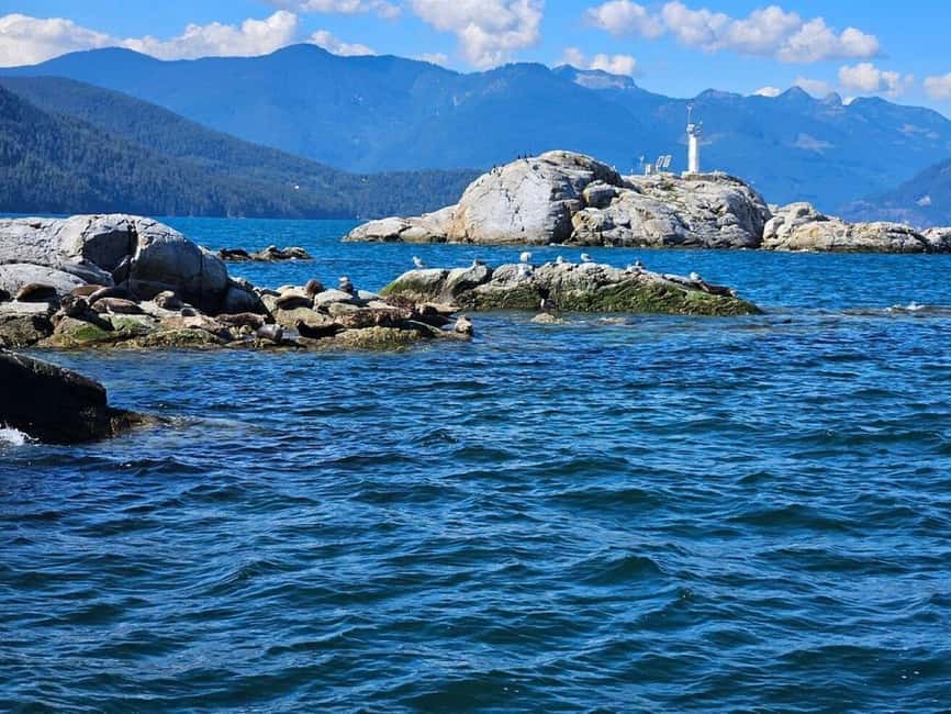 Vancouver: Snorkel, Kayak, and Seal Adventure Boat Tour - Check in at Sea Dragon Expedition Centre, and get suited up fast