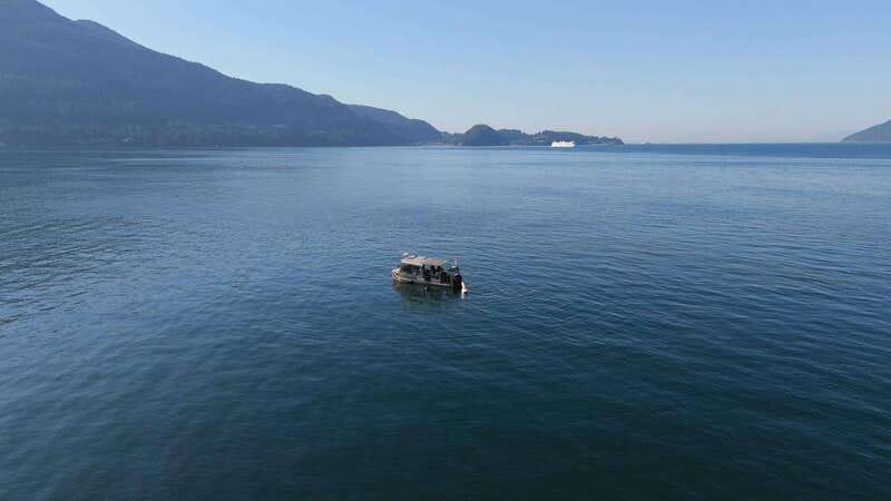 Vancouver: Snorkeling Seals Kayaking Scenic Boat Tour - Who should book this seal snorkeling and kayaking tour