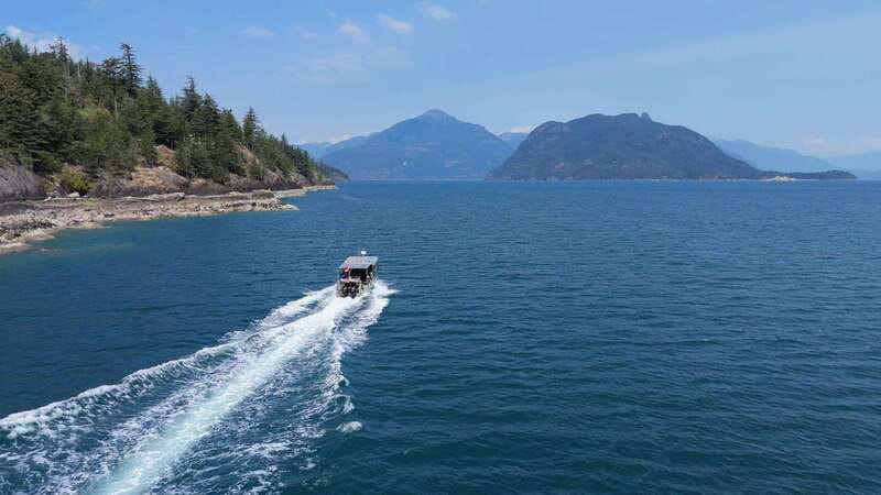 Vancouver: Snorkeling Seals Kayaking Scenic Boat Tour - Snorkeling with seals: what safety and comfort really mean