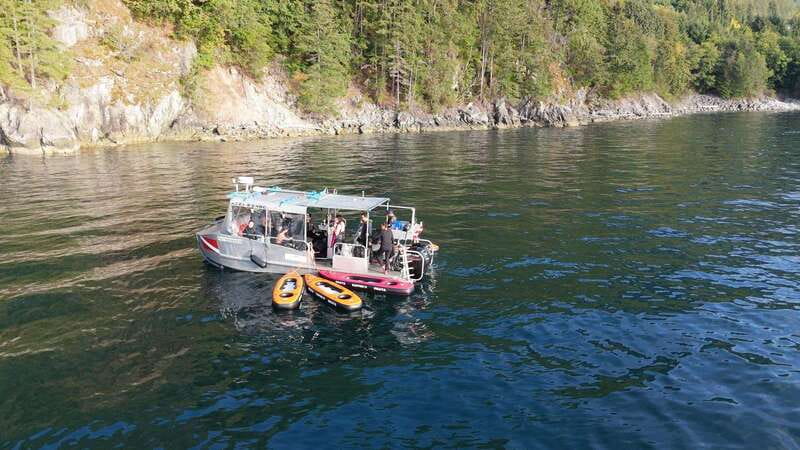 Vancouver: Snorkeling Seals Kayaking Scenic Boat Tour - Your guide’s role: spotting animals and learning why conservation matters
