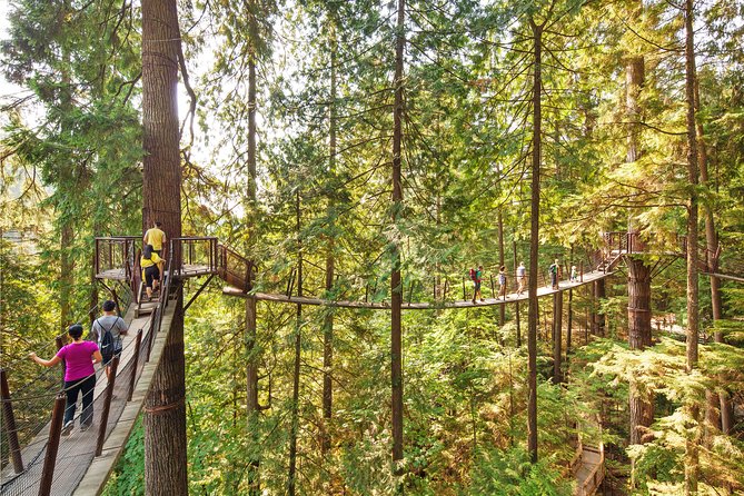 Vancouver Tour: Stanley Park, Granville Island & Capilano Bridge - Crossing Lions Gate Into North Shore Canyon Country