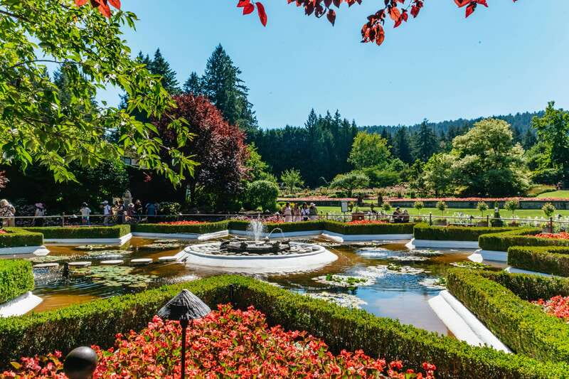 Vancouver: Victoria, Gulf Islands Cruise, & Butchart Gardens - The BC Ferry Crossing: Where Wildlife Chances and Photo Stops Happen