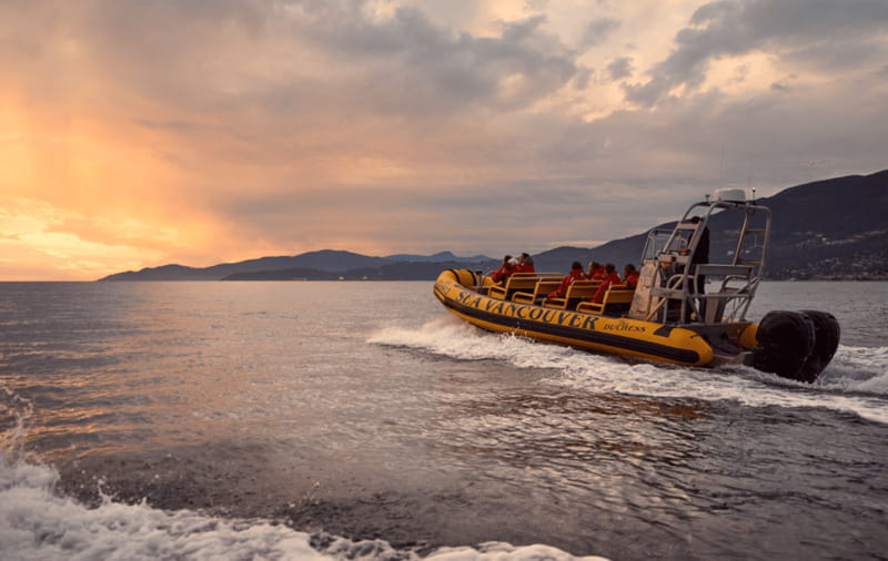 Vancouver: Waterfront Sightseeing Tour - City and Harbour - Who Should Book This Zodiac Tour?