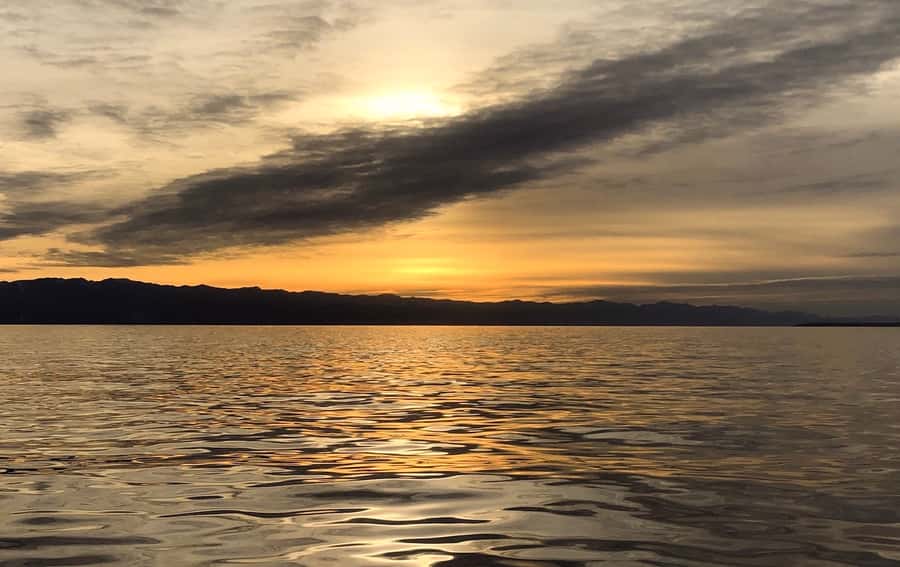 Victoria, BC: Sunset Whale Watching Tour - Where You Start in Victoria’s Inner Harbour (645 Humboldt St)
