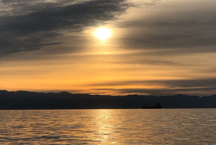 Victoria, BC: Sunset Whale Watching Tour - What’s Included for Comfort: Jackets and Hot Beverages