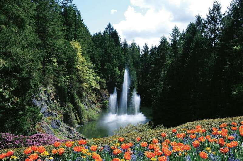 Victoria: City Highlights and Butchart Gardens Tour - Getting Oriented in Victoria from a Premium, Narrated Ride