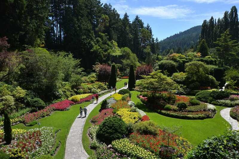 Victoria: City Highlights and Butchart Gardens Tour - Price, Comfort, and Whether This Tour Is Good Value for You