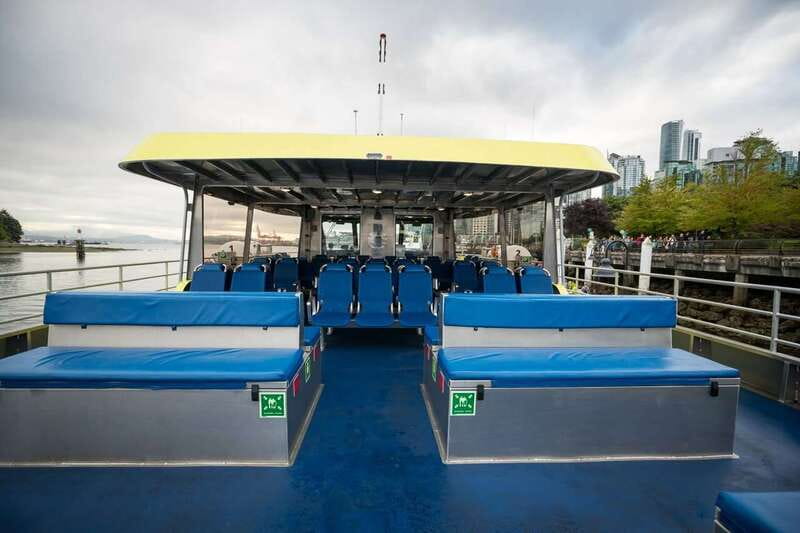 Victoria: Covered Whale Watching Adventure with Free Photos - Wildlife spotting beyond the whales