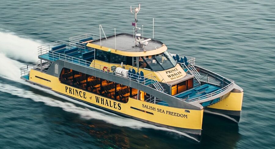 Victoria: Covered Whale Watching Adventure with Free Photos - Cold, seating, and motion: your practical checklist