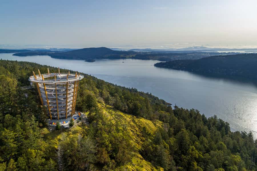 Victoria: Driving Tour w/ Malahat Skywalk & Butchart Gardens - Why This Half-Day Victoria Plan Works So Well