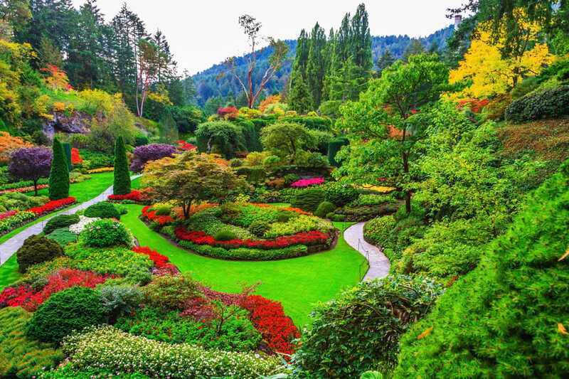 Victoria: Driving Tour w/ Malahat Skywalk & Butchart Gardens - The Victoria Drive: Government House, Craigdarroch Castle, and More