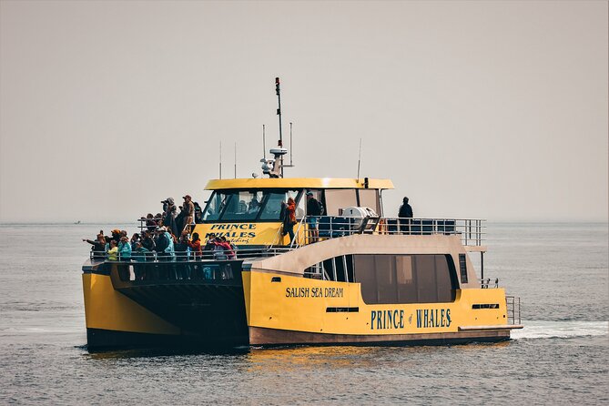 Victoria Half-Day Whale Watching Adventure with Free Photos - Weather, Packing, and Timing: How to Have a Great Day on the Water