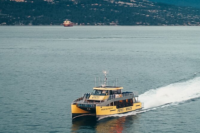 Victoria Half-Day Whale Watching Adventure with Free Photos - Strait of Juan de Fuca Search: What the Naturalists Help You Actually See