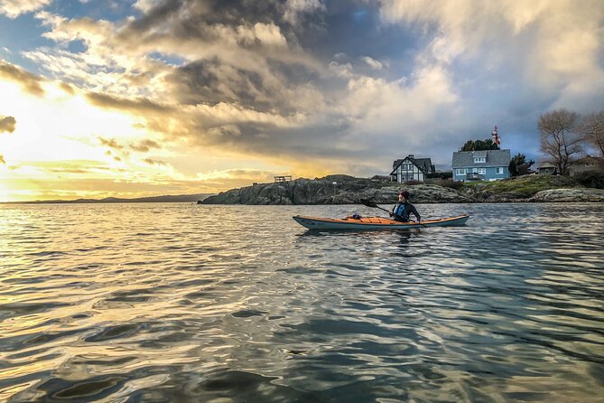 Victoria Harbour Sunset Kayak Tour - Key things I’d circle before you book