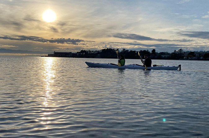 Victoria Harbour Sunset Kayak Tour - Where you meet and how the night starts smoothly