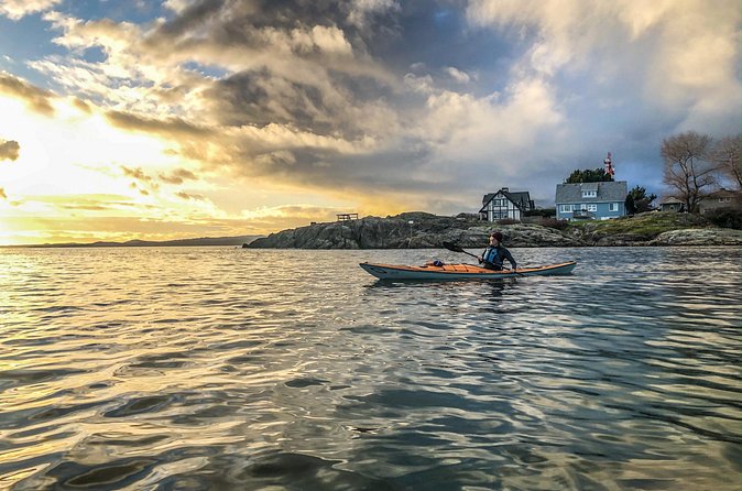 Victoria Harbour Sunset Kayak Tour - Seaplanes, harbor traffic, and working waterfront energy
