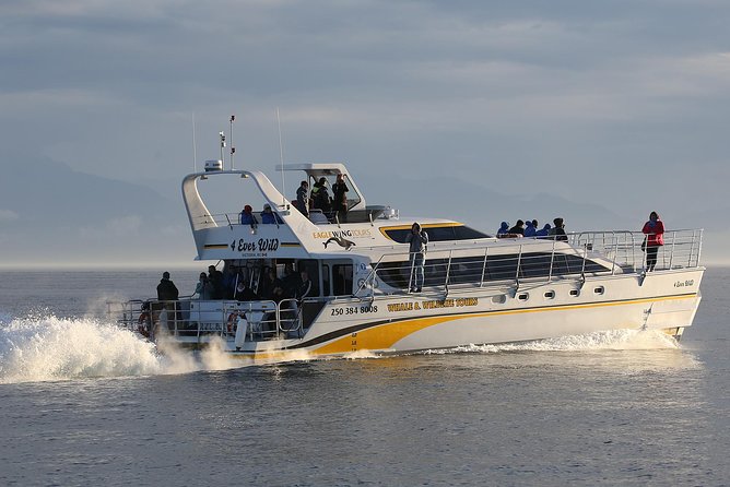 Victoria Marine Wildlife Tour - Your 3-hour wildlife plan, stop by stop