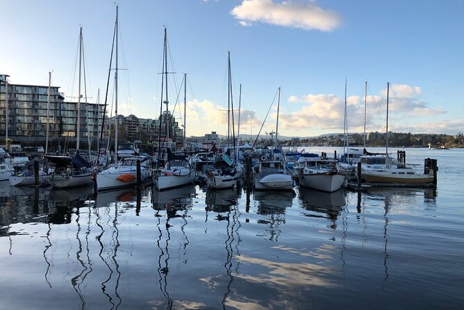 Victoria Scavenger Hunt and City Highlights Walking Tour - Stop 2: Fan Tan Alley