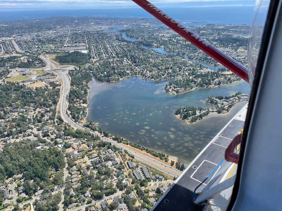 Victoria: Scenic Panorama Seaplane Tour - How the 30 Minutes Actually Works in the Sky