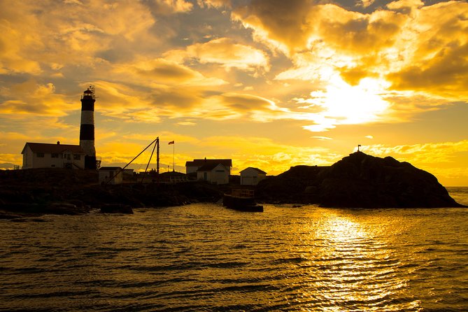 Victoria Sunset Whale-Watching Cruise - Who This Tour Is Best For (And Who Might Want a Plan B)
