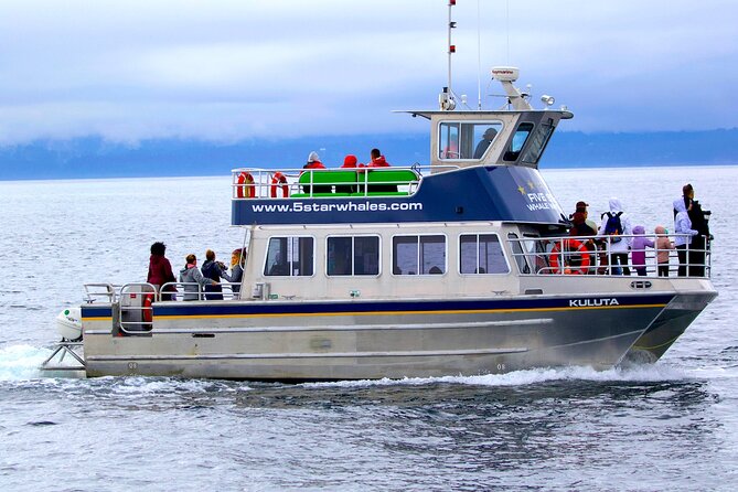 Victoria Whale Watching Cruise with Expert Naturalists - Key highlights before you go