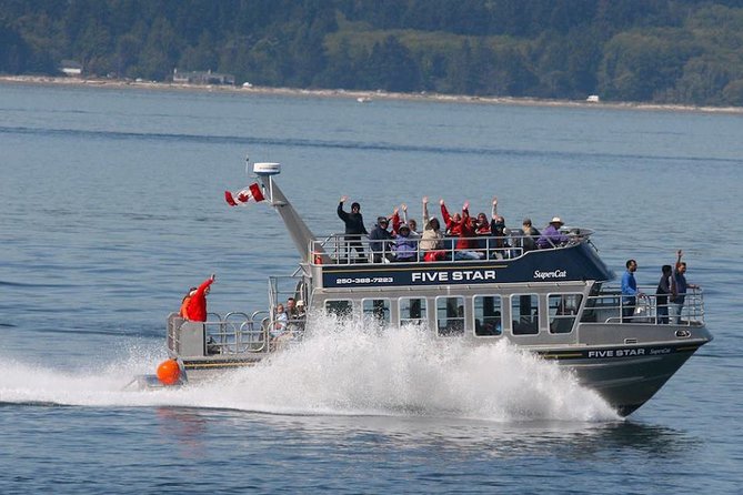 Victoria Whale Watching Cruise with Expert Naturalists - Victoria whale watching is more than spotting whales